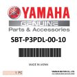 25.5 -72  PADDLE W GRAB HANDLE - SBT-P3PDL-00-10 Sale